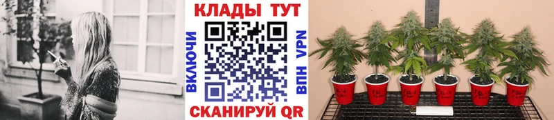Купить наркотик Светогорск СОЛЬ COCAIN Меф мяу мяу Конопля