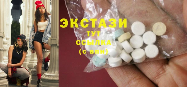 индика Вяземский