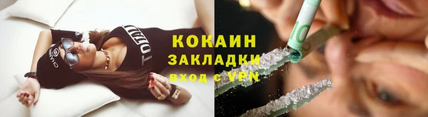 индика Вяземский