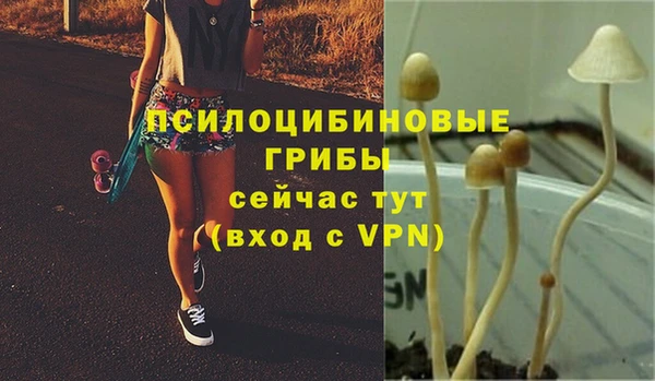 тгк Волосово