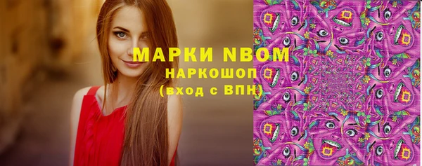 индика Вяземский