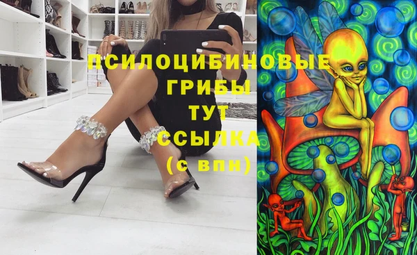 индика Вяземский